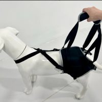 Thigh lift suspenders