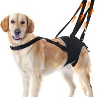 Thigh lift suspenders