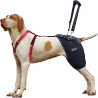 Dog Hip Support Brace