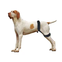 dog_hip_brace_for_hind_leg_190BBBC7A931D