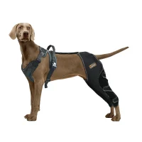 dog_knee_brace_for_back_leg_torn_ccl_19E6899D98915