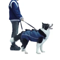 dog_lift_harness_full_body_support_19B9D9D190B1D