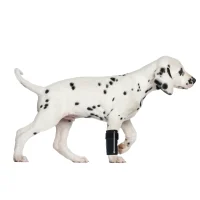 Extra Supportive Dog Carpal Brace