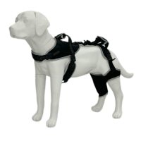Adjustable Dog Rear Leg Brace